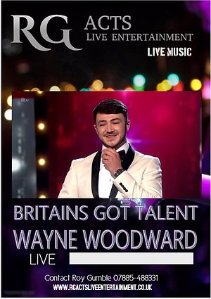 HOMEPAGE. wayneposter